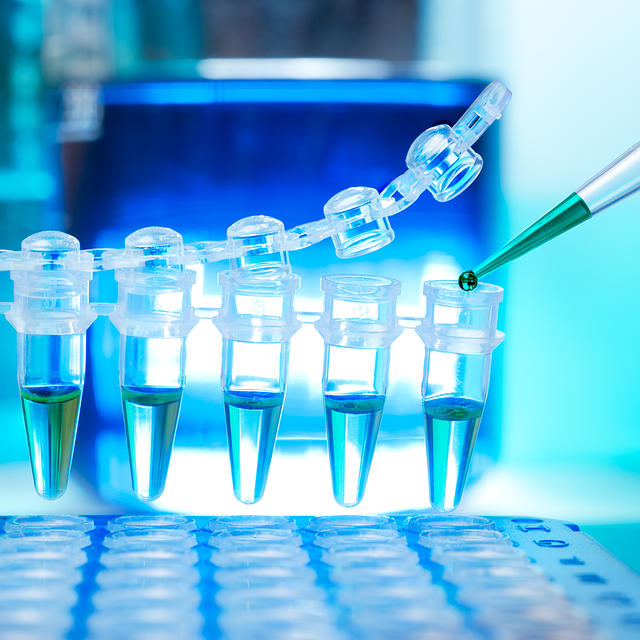 液体耐黄变体系用高活性催化剂，易于在多元醇中分散，不影响透明度