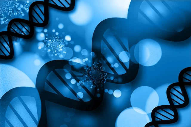 高活性替代有机锡环保催化剂，适用于聚氨酯体系的高效固化