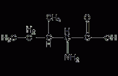 L-异白氨酸结构式